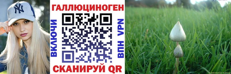 Галлюциногенные грибы Psilocybe  shop телеграм  Ворсма  купить закладку 